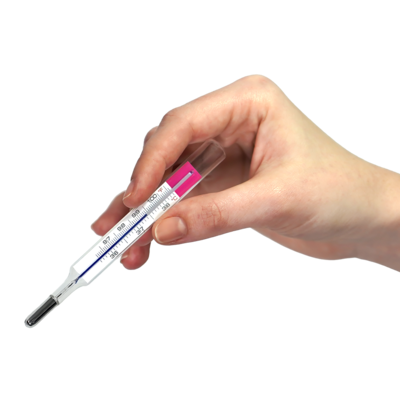 Hand holding the Geratherm® basal analogue glass basal thermometer with the storage case and magnifier effect; the magnifier enlarges the scale and the pink Galinstan measuring liquid.
